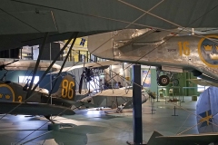 FLYGVAPENMUSEUM-_1086401