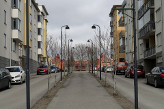 PASK-I-LINKOPING-_1098687