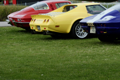 CORVETTE-TRAFF_1106953