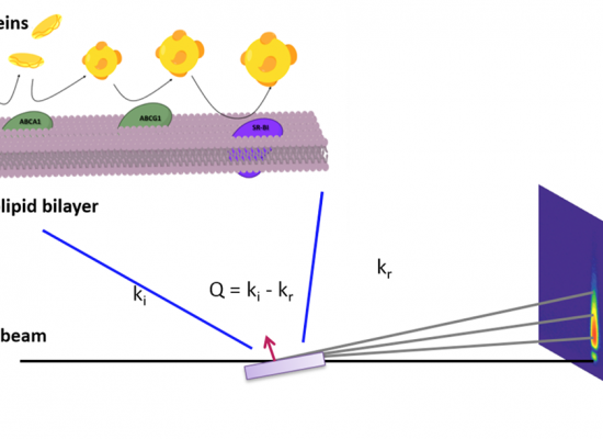 Experimental set-up