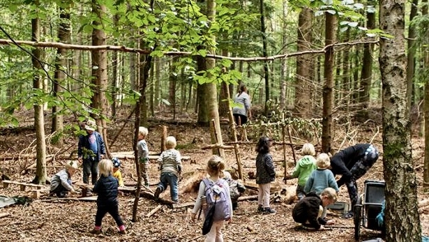 forest kindergartens