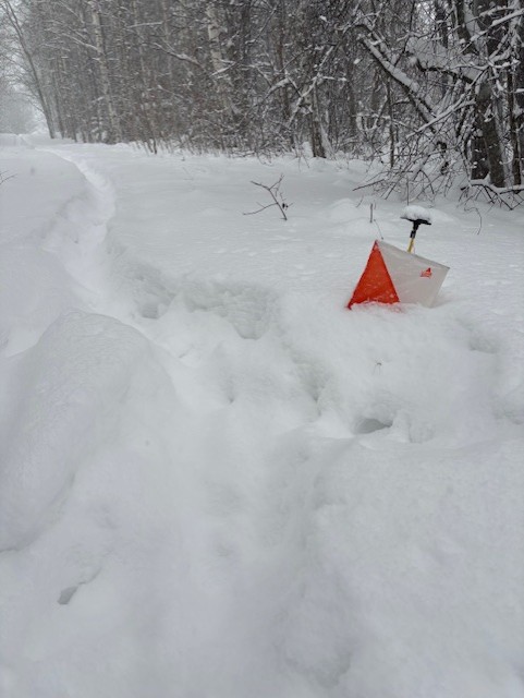 Totalresultat Julcupen 2025