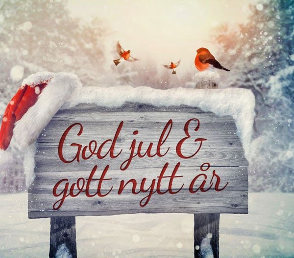 godjul2013-1