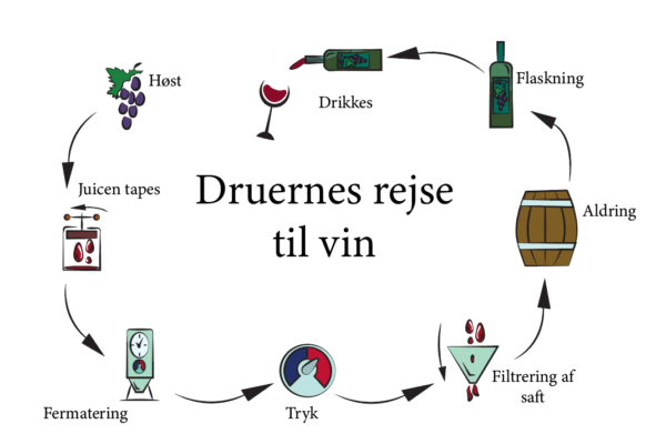 Hvordan laves vin?