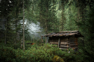 Hut in Siberian Taiga
