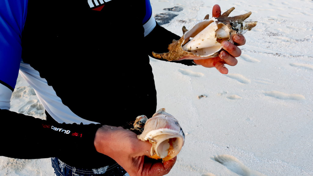 Sea food on a desert island