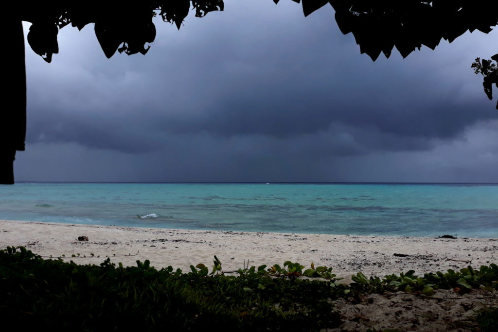 Accommodation on the survival island