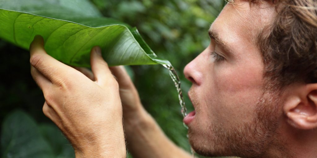 Finding water on a desert island