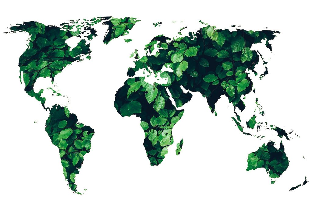 Sustainable tourism: eco-friendly world