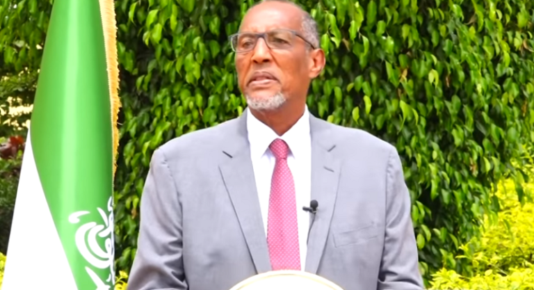 Madaxweyne Biixi oo Arrimaha Doorashada ka hadlay, Golaha Wakiillada-na cannaan u jeediyey