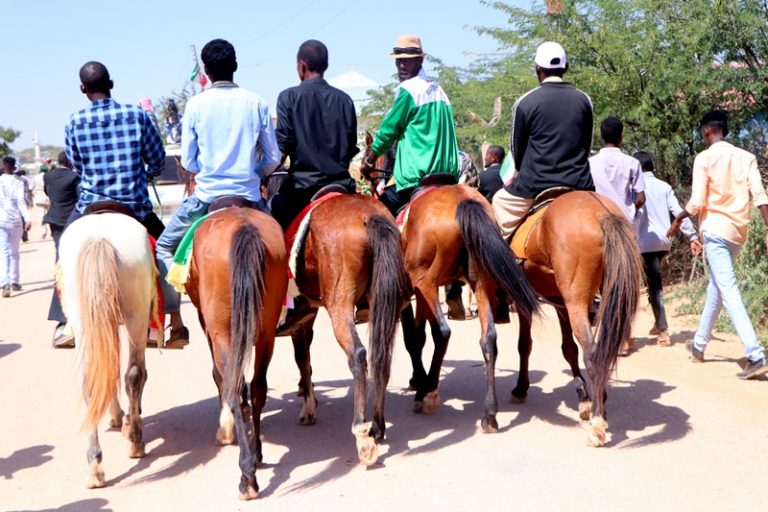 Reer Oodweyne oo Soo-dhaweyn looga markhaati kacay ku qaabilay Weftiga Madaxweyne Muuse Biixi (SAWIRRO)