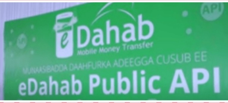 Dahabshiil launches eDahab Public API for Ease of Online Shopping