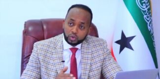 Wasiir ku-xigeenka Arrimaha Dibadda Somaliland Liibaan Cismaan