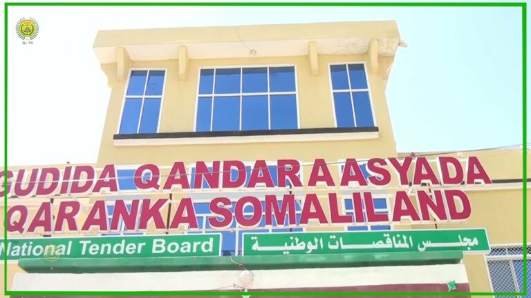 Somaliland: 29 Shirkadood oo ku tartamaya Qandaraaska Dhismaha Macadka Shaqaalaha Dowladaha Hoose