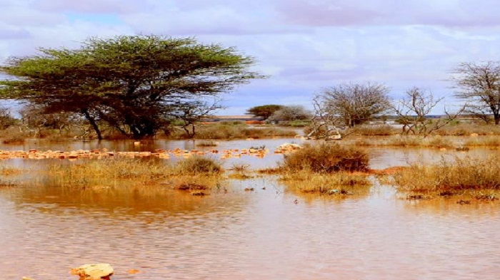 Somaliland: Roobab ka curtay Deegaamo ka tirsan Gobollada Maroodijeex iyo Saaxil