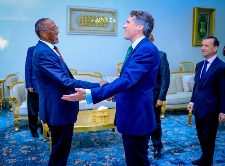 Madaxweynaha Somaliland oo Qaabiley Xildhibaanno ka tirsan Baarlamaanka UK oo uu hoggaaminayo Md Gavin Williamson