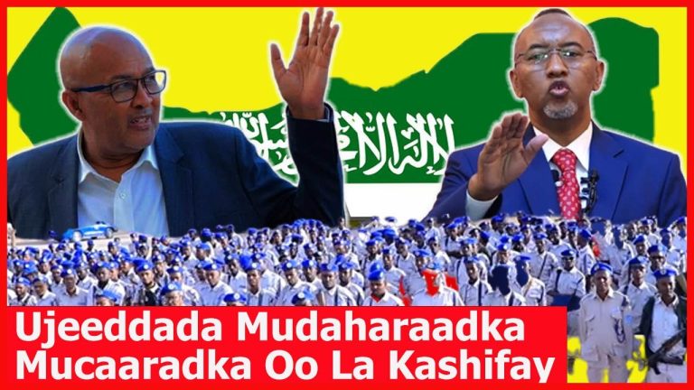 “Dhalinyarada Kafanka loo Xidhay ee La soo Gunaanaday Waa Hala burburiyo Somaliland” – Siyaasi Ismail