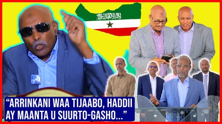 Siyaasi Cabdilahi Darawal Oo Eedaymo Culus U Jeediyey Guddi Ganacsato ah oo Ka Hawl-galay Xalka Khilaafka Siyaasadeed ee Somaliland