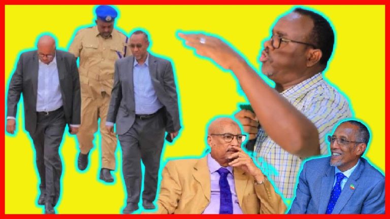 Xumadda Madaxtinimadu Waxay Lumisaa Caqliga Wanaagsan ~ Wasiirka Warfaafinta Somaliland