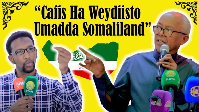 Madaxweyne ku-xigeenka Somaliland Oo Ka Seexan Waayey Xildhibaan Barkhad Batuun