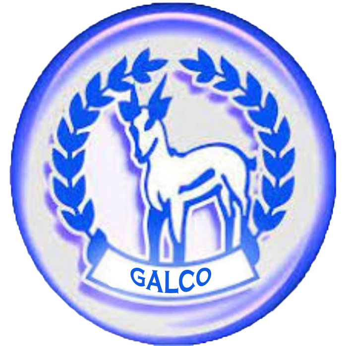 GALCO general trading company