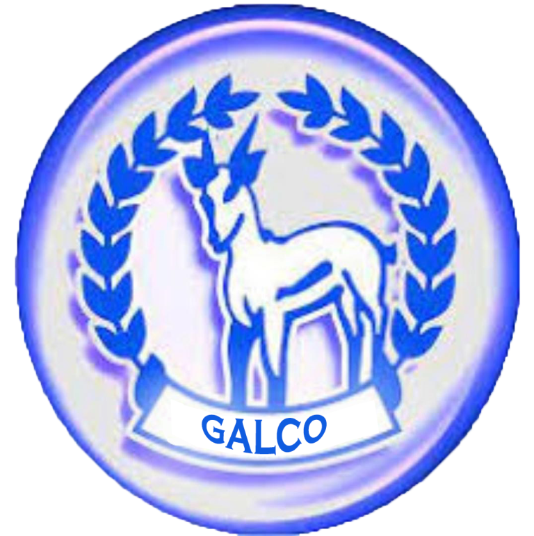 GALCO general trading company