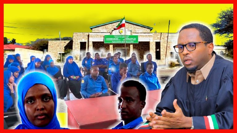 Somaliland: Fursad-siinta Dhalinyarada Ee Hay’adaha Garsoorka Dalka