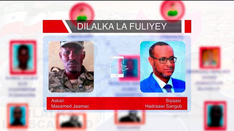 Warbixin Fashilisay Doorka Al-shabaab Ku Leedahay Dilalkii Qorsheysnaa ee Laga Fuliyey Laascaanood iyo Dagaalka Socda