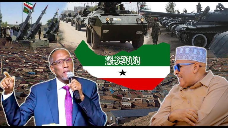 Xog Fashilisay Dacwad Baarlamaanka Somaliland Si Qarsoodiya Uga gudbiyey Xukuumadda Madaxweyne Muuse Biixi