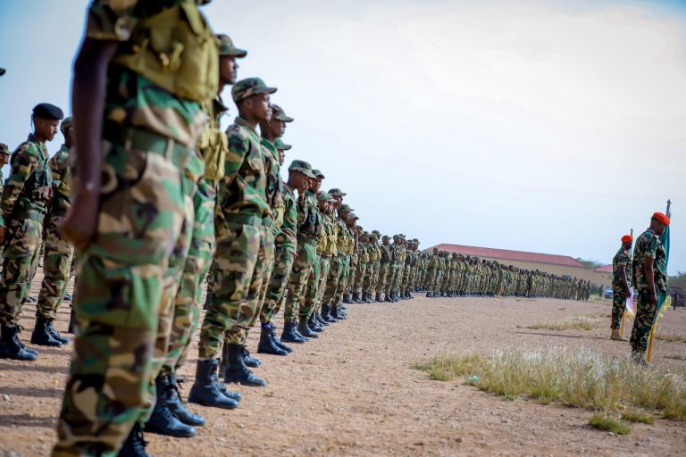 Madaxweynaha Somaliland oo Tabobar u Xidhay Cutubyo ka tirsan Ciidanka Qaranka