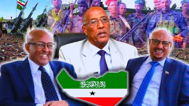 “Madaxweynuhu Wuxu La Tartamayaa Laba Inan oo Ilmaadeera, Reerka u Abaabulan Inay madaxweyne helaana waa…” Oday Baashe Cabdilaahi