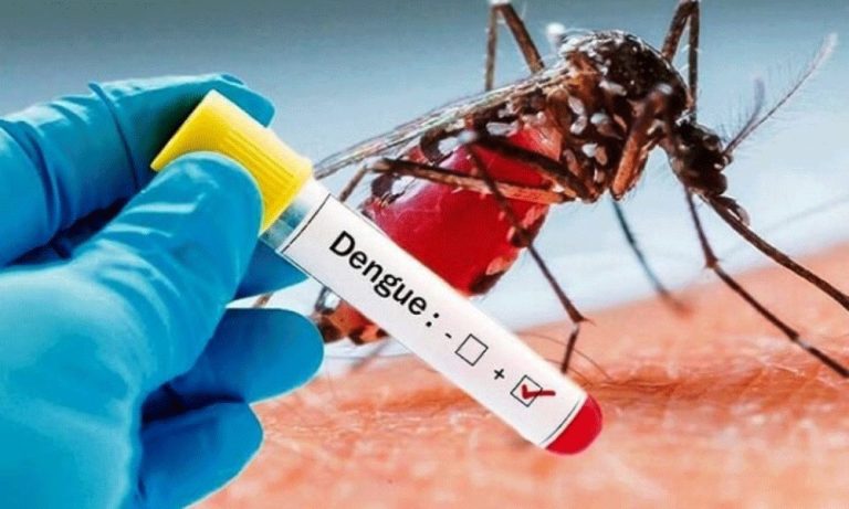 Xannuunka Xumadda (Dengue Fever) Oo Ka Dilaacay Somaliland iyo Farriinta Wasaaradda Horumarinta Caafimaadka