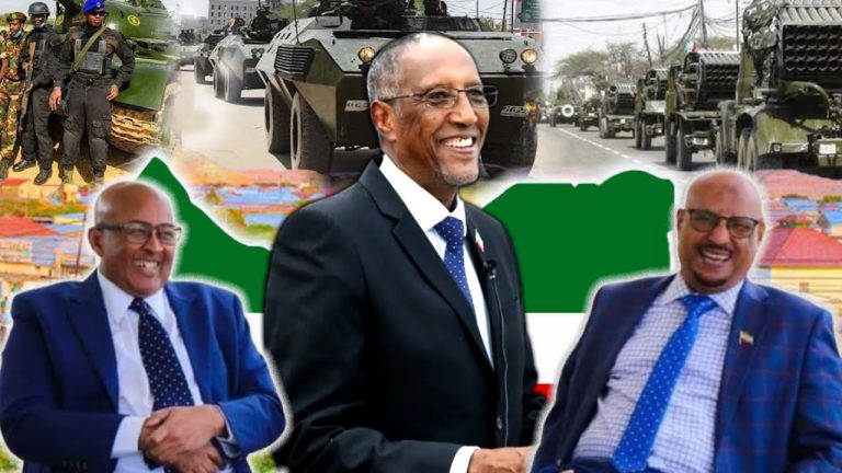 “War Farxad Leh Ayaad Ka Maqli doontaan Xaaladda Dalka” ~ Madaxweynaha Somaliland