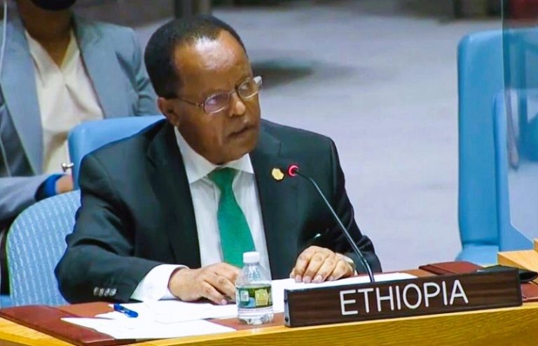 “Ethiopia dhibbane uma noqonayso Culaysyada ka jira gudaha waddama kale” – Wasiirka Arrimaha Dibadda Itoobiya