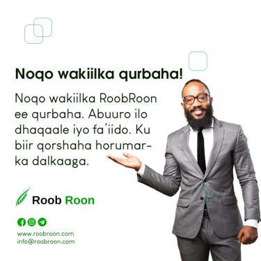 Roobroon Investment