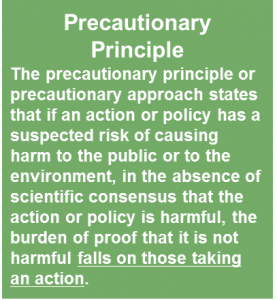Precautionary Principle