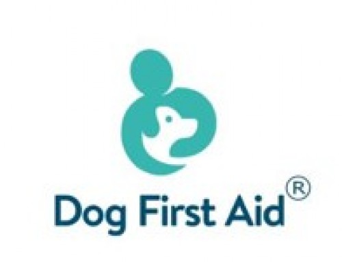 Dog First Aid Course – Sunday 21st July @ SITP