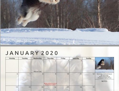 2025 Calendar vote now open