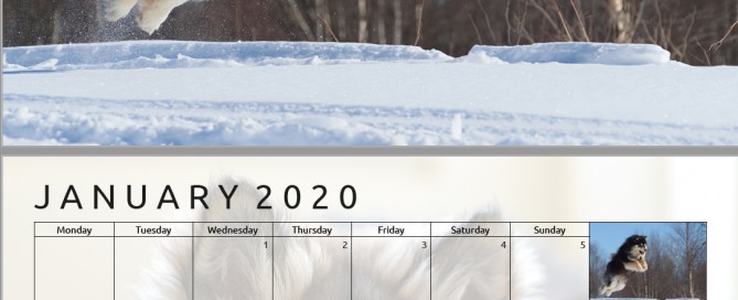 2020 Finnish Lapphund Calendar