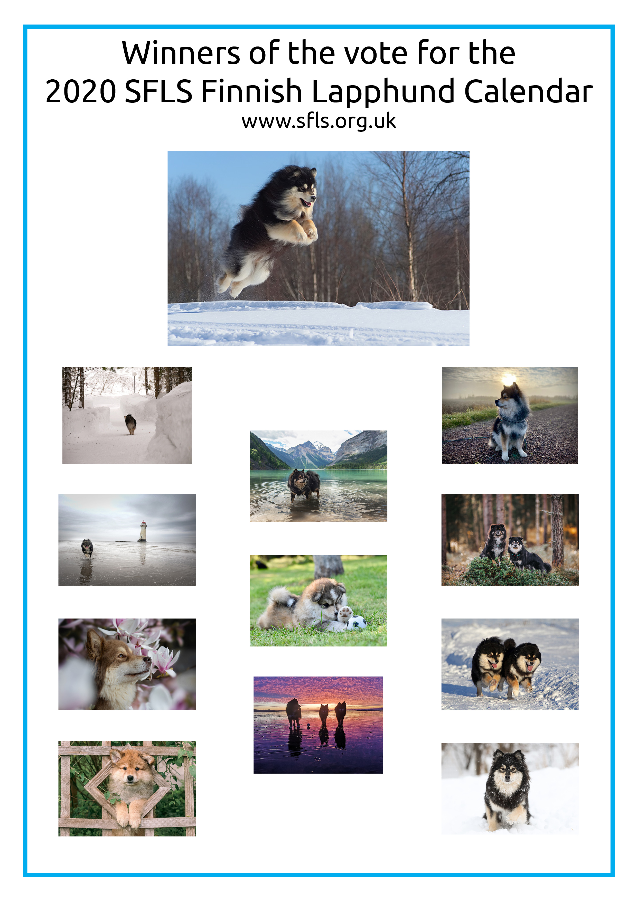 2020 Finnish Lapphund Calendar