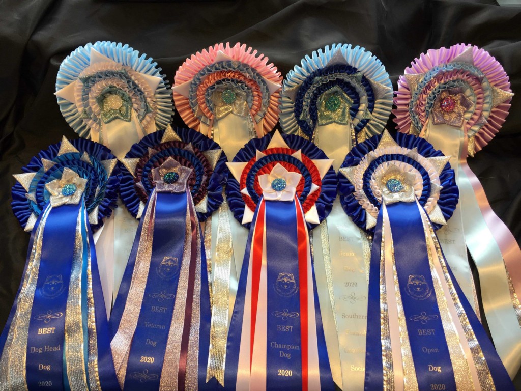 Dog class rosettes