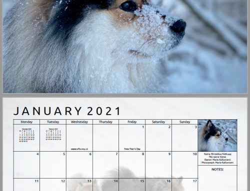 2022 Calendar Photo Submissions