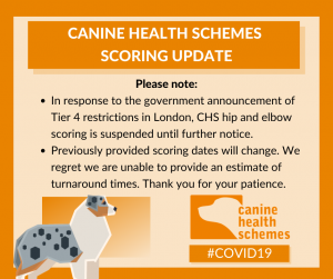 bva scheme covid