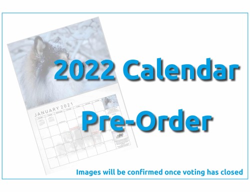 2022 Calendar Voting now open