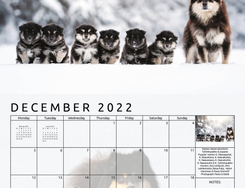 2023 Calendar – photo submissions now open – Closing date extended to 28/10