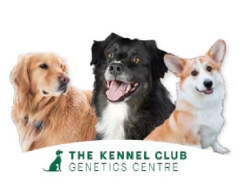 News from Cambridge Vet School – including KC Genetics Centre