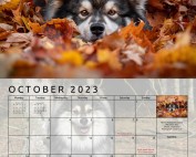 Finnish Lapphund example page for October