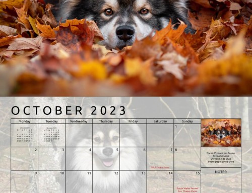 2024 Calendar submissions now open