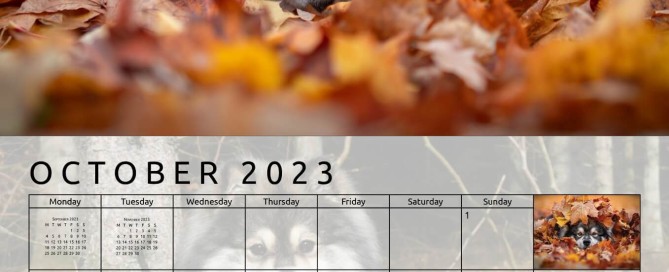 Finnish Lapphund example page for October