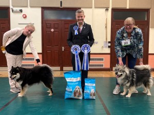 Best Puppy in Show and Reserve Best Puppy in Show